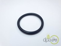 ORING POMPA APA Deutz