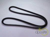CUREA 10X1350 Fiat