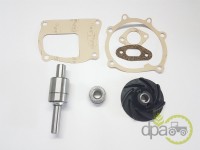 KIT REPARATIE POMPA APA Ford