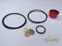 KIT REPARATIE POMPA DIRECTIE Fendt