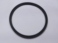 ORING POMPA APA Steyr