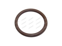 ORING PRIZA PUTERE Fiat