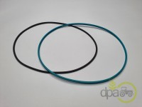 ORING TRANSMISIE (X2) Fiat