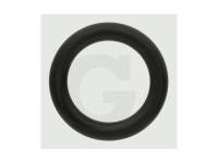 ORING TRANSMISIE Fiat