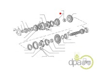 PINION VITEZA 3 Z42 Fiat