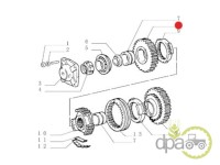 PINION VITEZA 4 Z34 Fiat