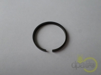 SEGMENT POMPA HIDRAULICA FI25 Massey Ferguson