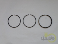 SEGMENTI MOTOR Fiat