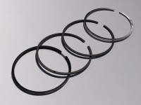 SEGMENTI MOTOR