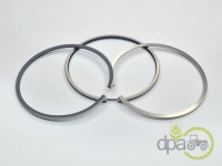 SEGMENTI MOTOR Fiat