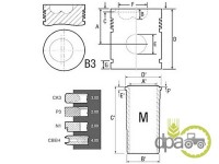 SET MOTOR Renault