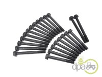 SET SURUB CHIULASA Massey Ferguson