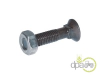 SURUB+PIULITA PLUG M10X30